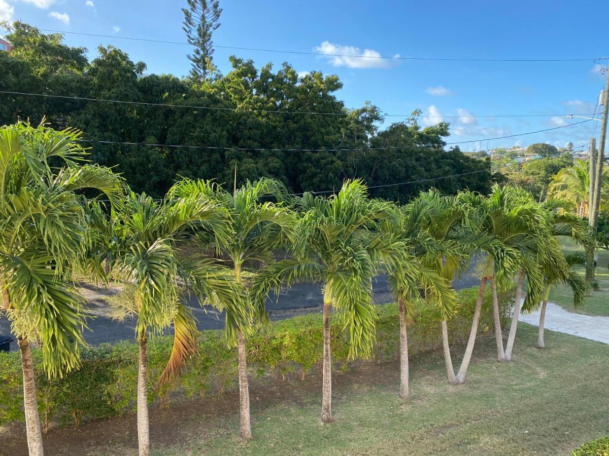 New! Bluestone Getaway In Christiansted Usvi ! Lejlighed Eksteriør billede