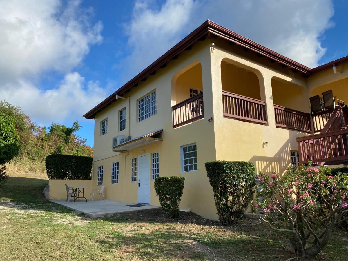 New! Bluestone Getaway In Christiansted Usvi ! Lejlighed Eksteriør billede
