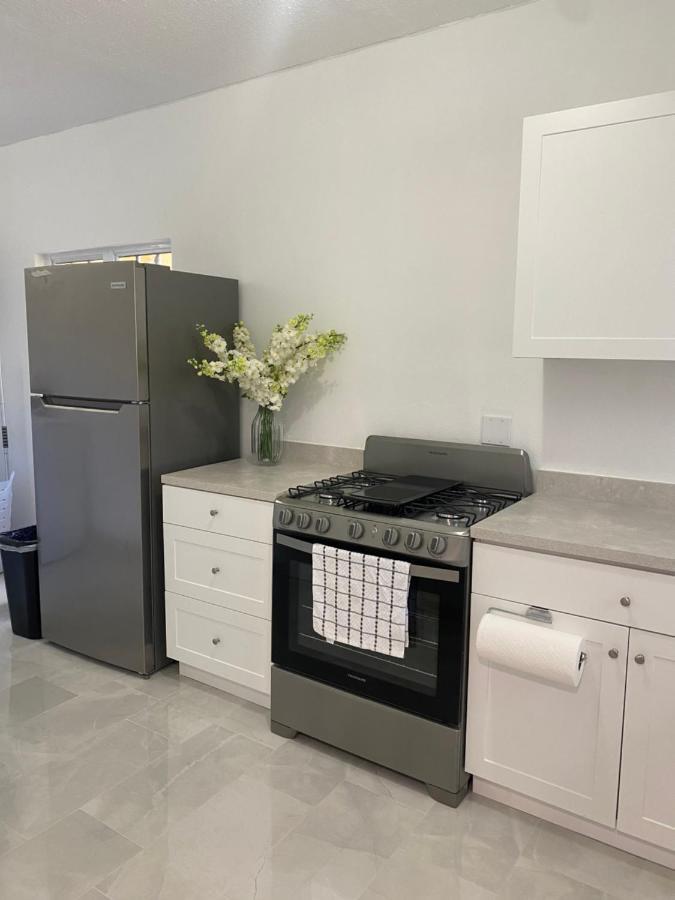 New! Bluestone Getaway In Christiansted Usvi ! Lejlighed Eksteriør billede
