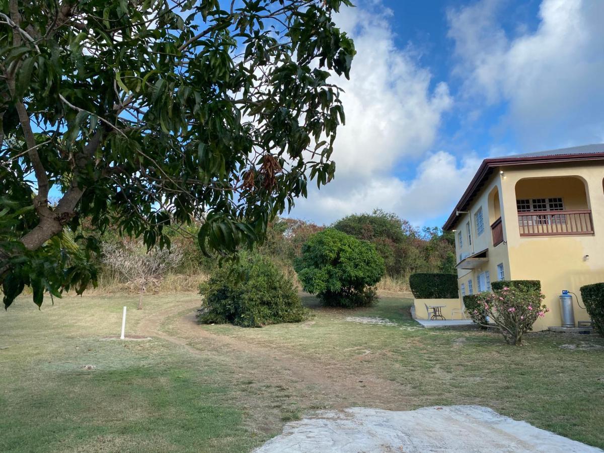 New! Bluestone Getaway In Christiansted Usvi ! Lejlighed Eksteriør billede